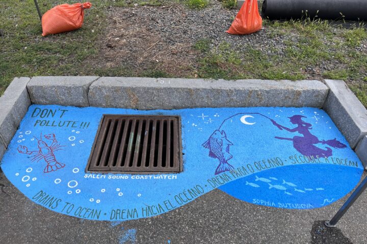 In this photo, you see the storm drain mural, almost complete, with a hand-painted, blue ocean background, a red lobster, white bubbles, and a dark blue City of Salem, MA witch fishing by a white crescent moon and stars from their broom, with a big fish on the fishing pole line. Under the grate in white lettering it says: "Salem Sound Coastwatch." It says in green lettering in the top left: "Don't pollute!!!" and at the bottom of the mural: "Drains to ocean . Drena hacia el oceano . Drena para o oceano . S'ecule a l'ocean." A used, blue paint brush is next to the brown grate.