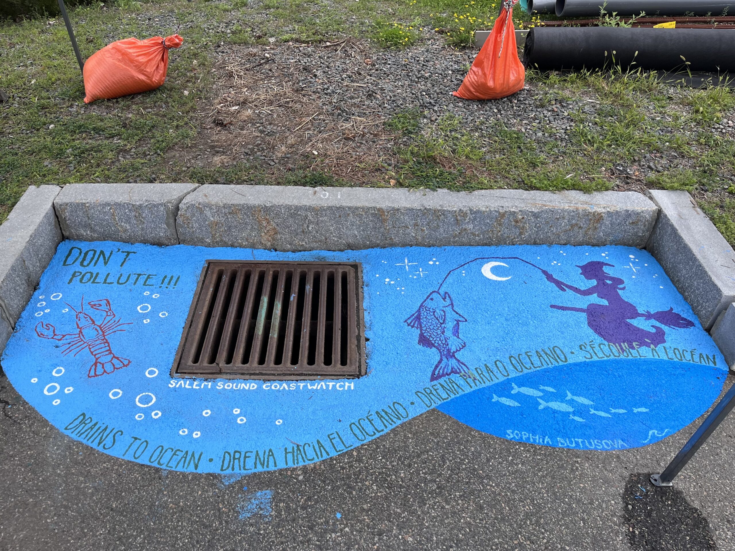 In this photo, you see the storm drain mural, almost complete, with a hand-painted, blue ocean background, a red lobster, white bubbles, and a dark blue City of Salem, MA witch fishing by a white crescent moon and stars from their broom, with a big fish on the fishing pole line. Under the grate in white lettering it says: "Salem Sound Coastwatch." It says in green lettering in the top left: "Don't pollute!!!" and at the bottom of the mural: "Drains to ocean . Drena hacia el oceano . Drena para o oceano . S'ecule a l'ocean." A used, blue paint brush is next to the brown grate.